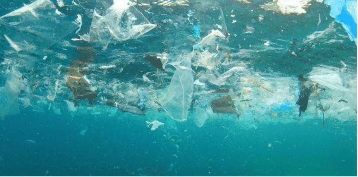 Micro-plastic, the "invisible killer" that harms the global environment 3