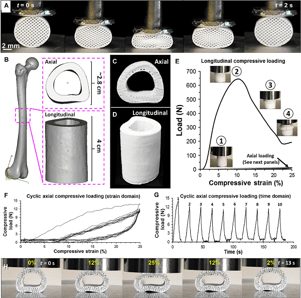 Take you into the world of bio 3D printing 3