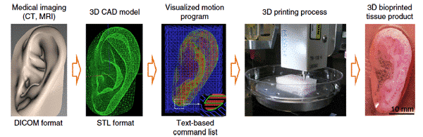 Take you into the world of bio 3D printing 2