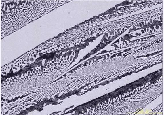 8 Common Microstructures of Metal and Alloy 17