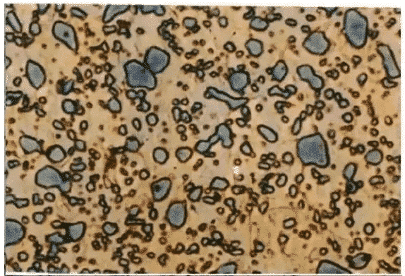 8 Common Microstructures of Metal and Alloy 7