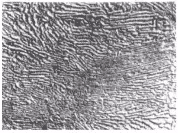 8 Common Microstructures of Metal and Alloy 6