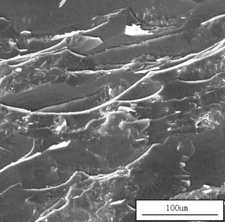 Application of Scanning Electron Microscope in Material Analysis 3