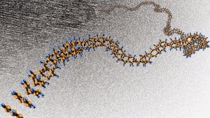 Long-range ordered one-dimensional nanowires 