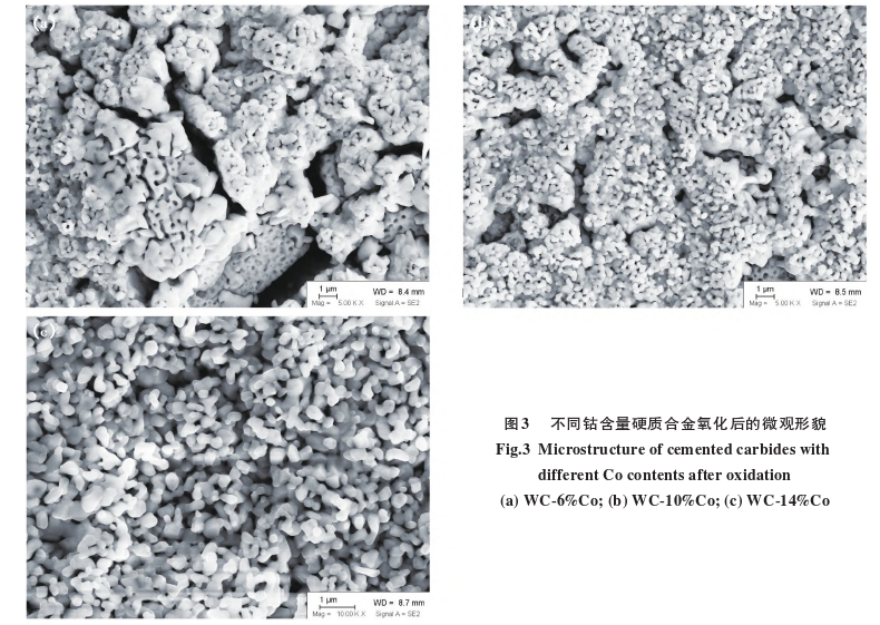 The Effects of 3 Elements on the High-Temperature Oxidation Resistance and Hardness of Carbides 3